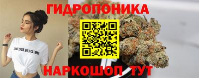 гашишное масло Берёзовский