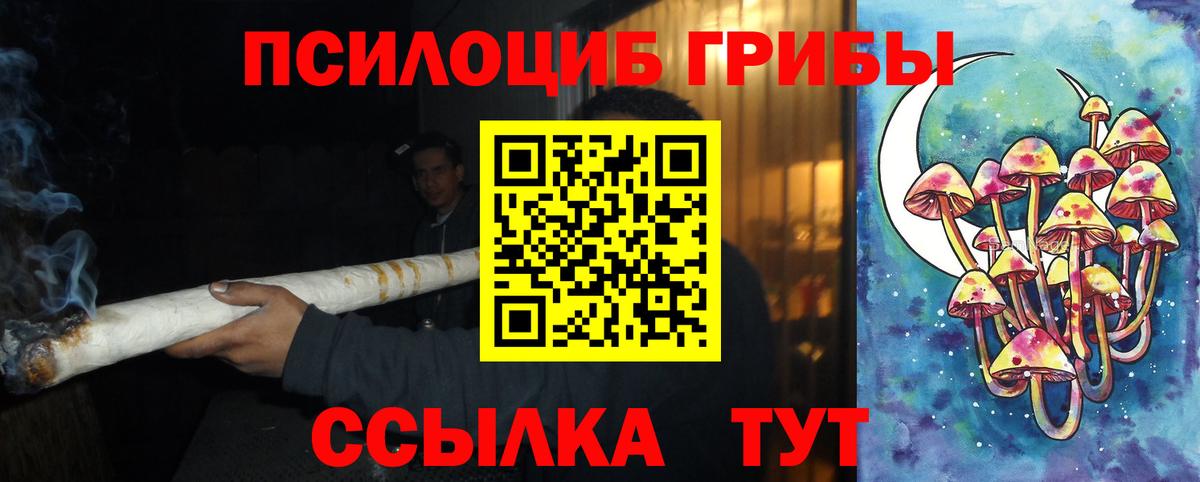 Клин  Псилоцибиновые грибы прущие грибы  Вход с VPN  Псилоцибиновые грибы MAGIC MUSHROOMS 